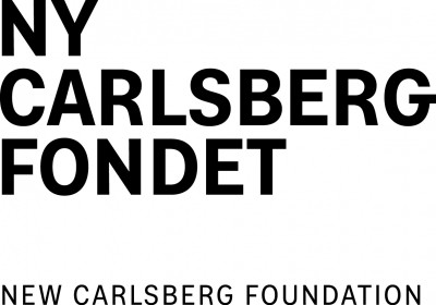 Ny Carlsbergfondet